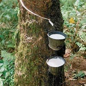amaresa